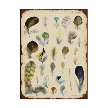 Jean Plout 'Vintage Feather Study Collection' Canvas Art,18x24